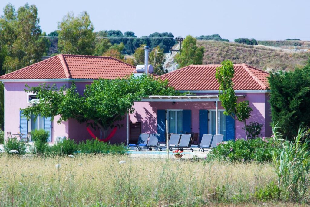 The house under the vine pergola